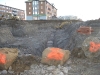 webpicture-002.jpg